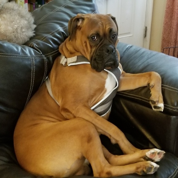 Meet your Posher, Tiffany - Picture 2 of 7